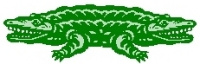 crocogator