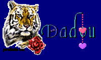 chapy84