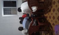 lamine403