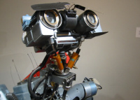 Netman