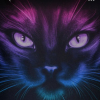 Gothykat