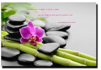 non@