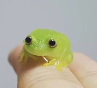 Makijama