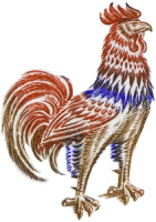 RomaCeltica