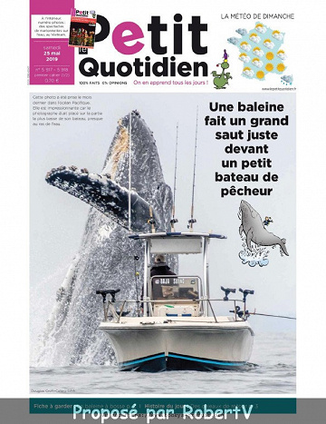 Petit Quotidien - Samedi 25 Mai 2019