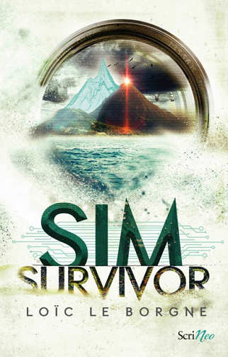 Sim survivor - Loïc Le Borgne