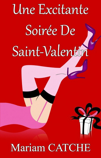 Une Excitante Soirée De Saint-Valentin - Mariam Catche