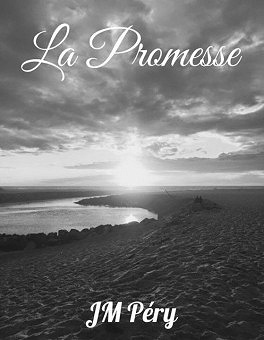 La promesse (2016) - JM Péry