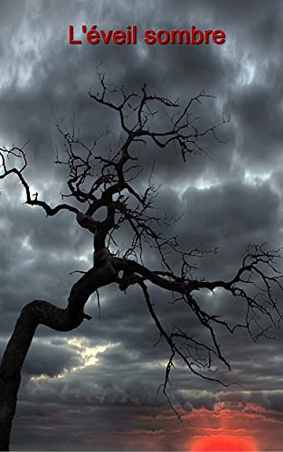 Sébastien Donner (2016) - L’éveil sombre