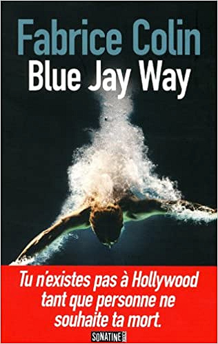 Blue Jay Way - Fabrice COLIN