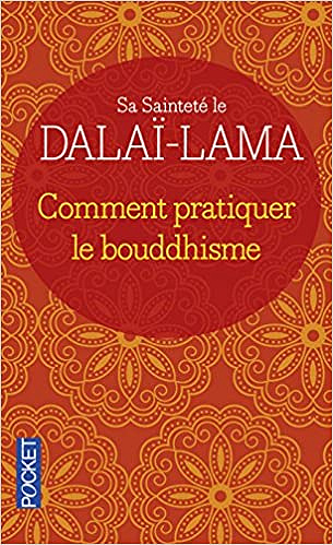 Comment pratiquer le bouddhisme - Dalai-Lama et Jeffrey Hopkins