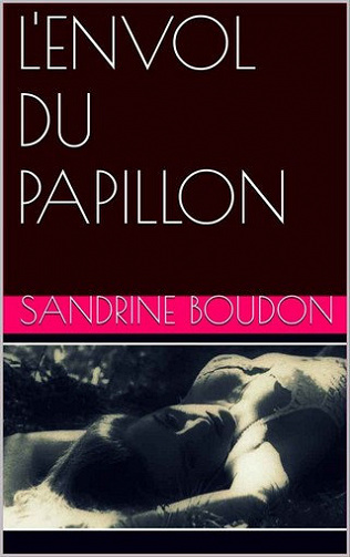 L’envol du papillon - Sandrine Boudon