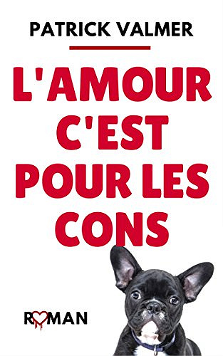 L’Amour, c’est pour les cons - Patrick Valmer (2017)
