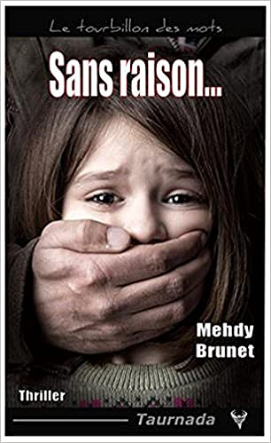 Sans raison - Mehdy Brunet