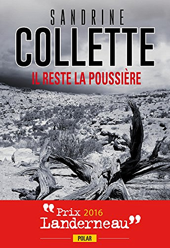 Sandrine Collette - Il reste la poussière
