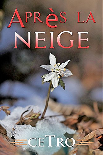 Après la neige - Cetro (2018)