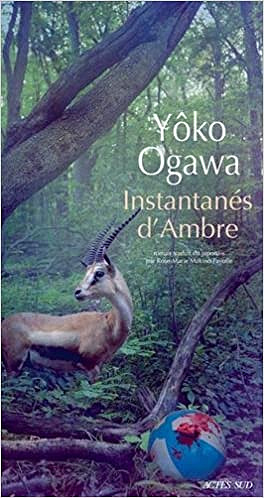 Instantanés d’Ambre - Yôko Ogawa (2018)