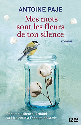 Mes mots sont les fleurs de ton silence - Antoine Paje (2017)