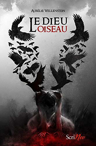 Le dieu oiseau - Aurélie Wellenstein (2018)