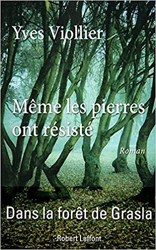 Yves VIOLLIER - Même les pierres ont résisté