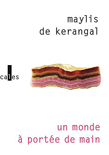 Un monde à portée de main - Maylis De Kerangal (2018)