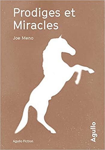 Joe Meno – Prodiges et miracles (2018)