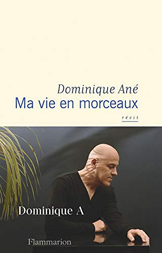 Ma vie en morceaux - Dominique Ané (2018)