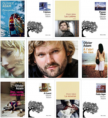 Olivier Adam - Pack 11 Romans