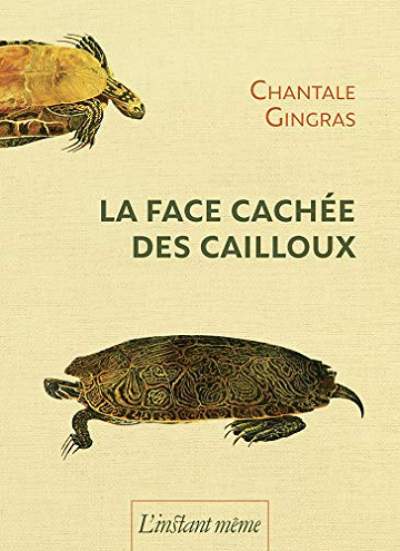 La face cachée des cailloux - Chantal Gingras (2018)
