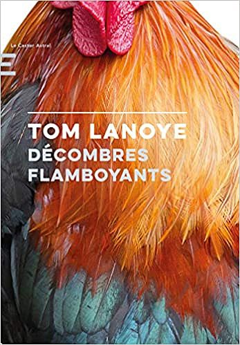 Décombres flamboyants - Tom Lanoye (2019)