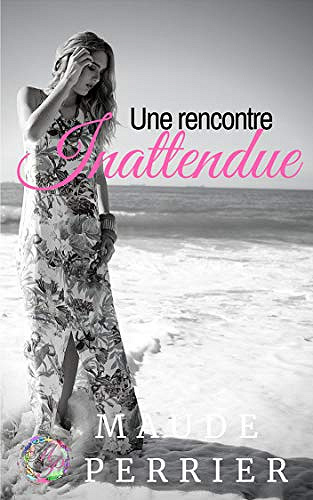 Une rencontre inattendue - Maude Perrier (2019)