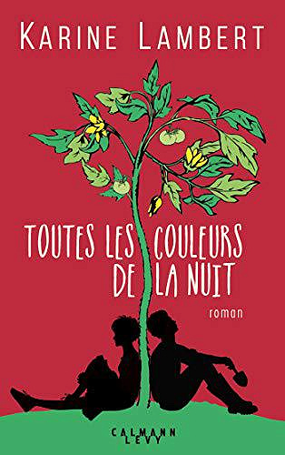 Toutes les couleurs de la nuit - Karine Lambert (2019)