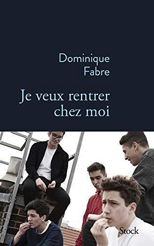 Je veux rentrer chez moi - Dominique Fabre (2019)