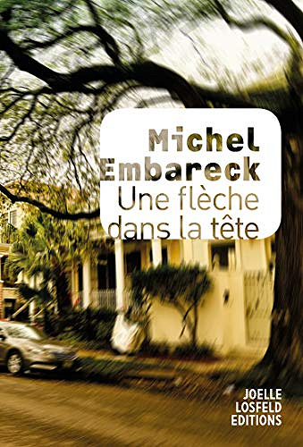Une flèche dans la tête - Michel Embareck (2019)