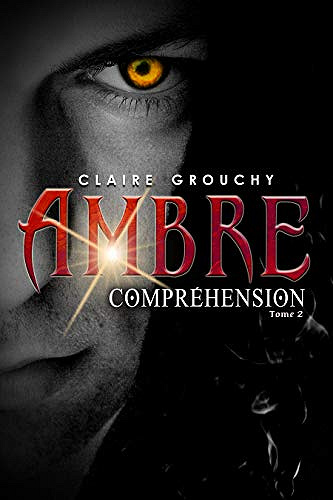 Ambre: Tome 2 : Compréhension - Claire Grouchy (2019)