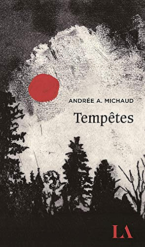 Tempêtes - Andrée Michaud  (2019)