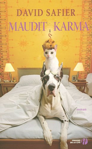 Maudit Karma - David Safier