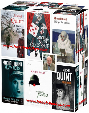 Michel Quint - pack 14 Romans