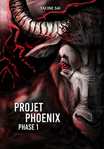 Projet Phoenix: Phase 1 - Yacine Sai (2019)