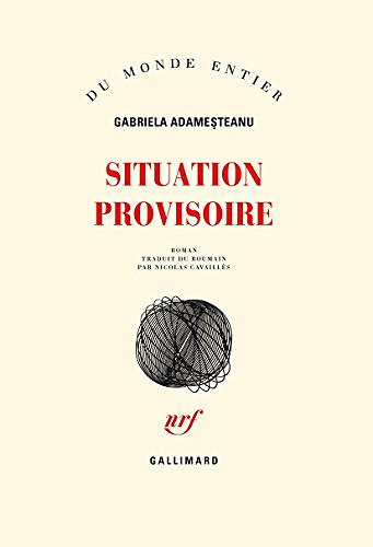 Situation provisoire - Gabriela Adamesteanu