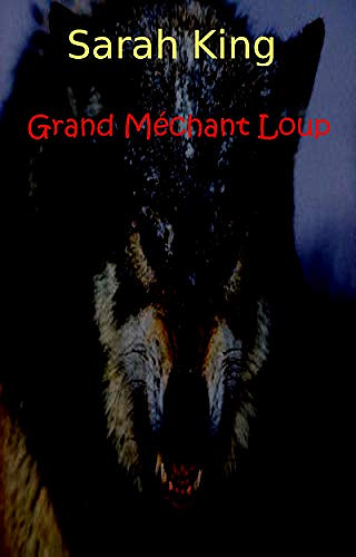 Grand Méchant Loup (les enquêtes d’Olivia Kasner t. 24) - Sarah King (2019)