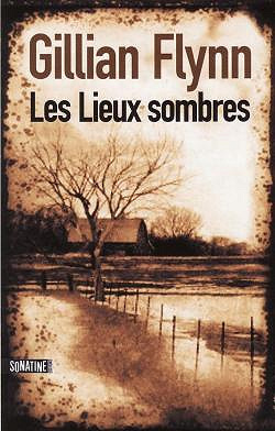 Gyllian Flynn - Les lieux sombes