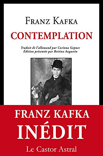 Contemplation - Franz Kafka