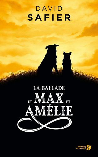 David Safier - La Ballade de Max et Amélie (2020)