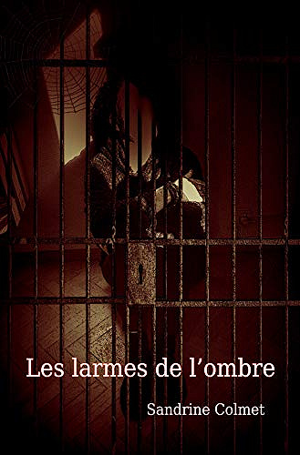 Les larmes de l’ombre - Sandrine Colmet