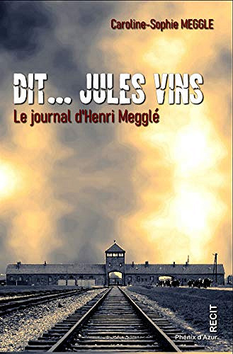 Dit... Jules Vins: Le journal d’Henri Megglé - Caroline Sophie Meglé (2020)
