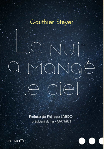 La nuit a mangé le ciel - Gauthier Steyer