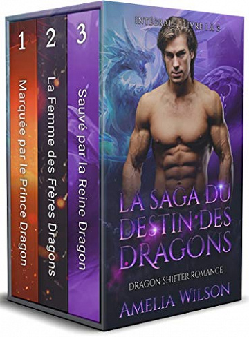 Le Destin des Dragons : Intégrale - Amelia Wilson (2020)