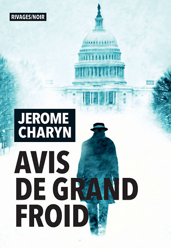 Avis de grand froid - Jerome Charyn (2020)