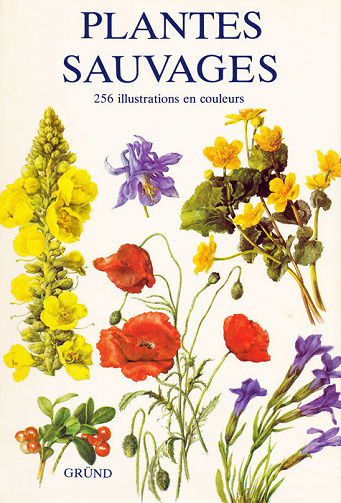 Plantes sauvages : 256 illustrations en couleurs